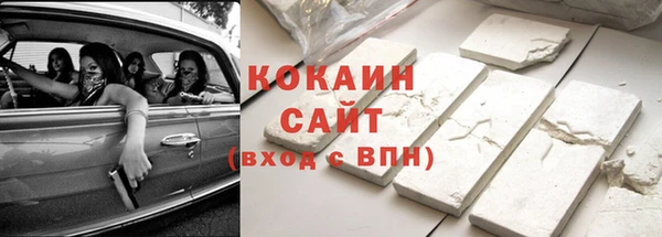 ПСИЛОЦИБИНОВЫЕ ГРИБЫ Няндома