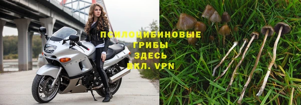 ПСИЛОЦИБИНОВЫЕ ГРИБЫ Няндома