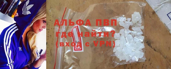 ПСИЛОЦИБИНОВЫЕ ГРИБЫ Няндома