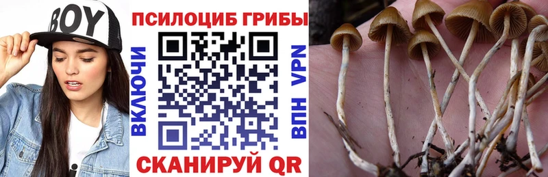 Псилоцибиновые грибы GOLDEN TEACHER  mega рабочий сайт  Чехов 